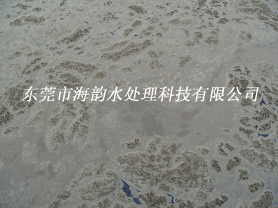 城镇污废水处理工程.jpg