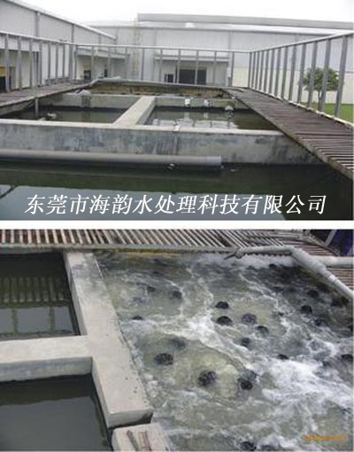 含酚废水处理工程.jpg